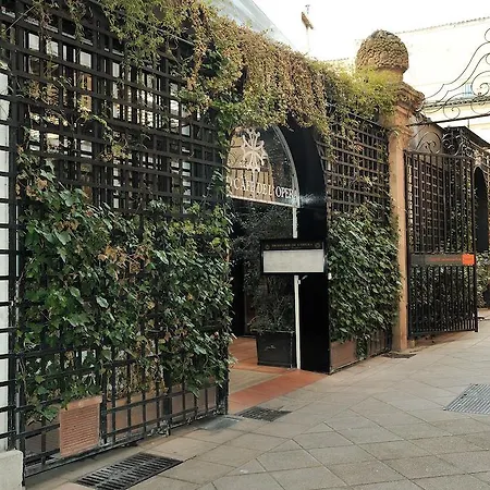 Apartment Freed'home Capitole